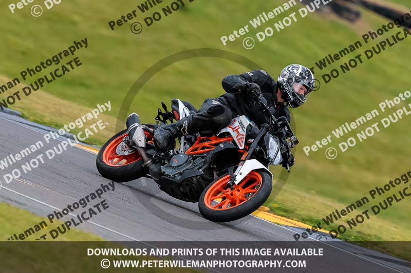 PJ Motorsport 2019;anglesey no limits trackday;anglesey photographs;anglesey trackday photographs;enduro digital images;event digital images;eventdigitalimages;no limits trackdays;peter wileman photography;racing digital images;trac mon;trackday digital images;trackday photos;ty croes